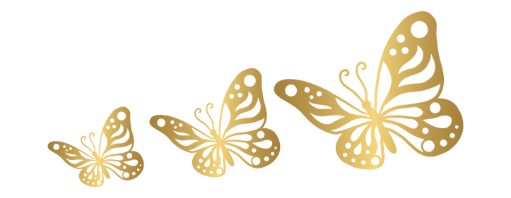 Imagen inicio invitados